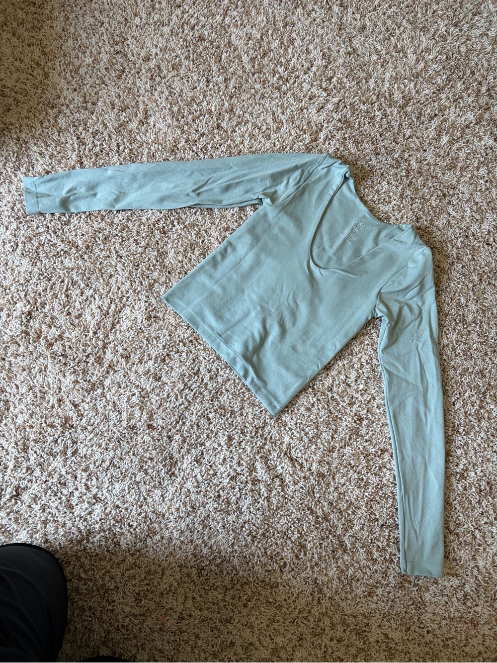 Aura Light Mint Green Long Sleeve V-Neck Top